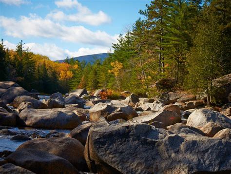 Conserve land, water, and wildlife; Rep. Debra Haaland leads push to protect 30% of our land and ocean by 2030 | PressReleasePoint