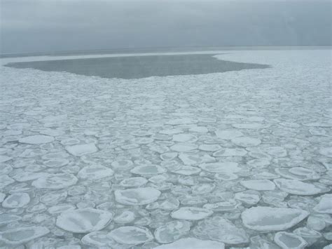 Its So Cold In Chicago That Lake Michigan Is Covered In Ice Pancakes
