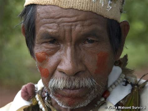 The guarani people in brazil are divided into three groups: "Man muss Mut haben" - die Guarani in Brasilien | amerika21