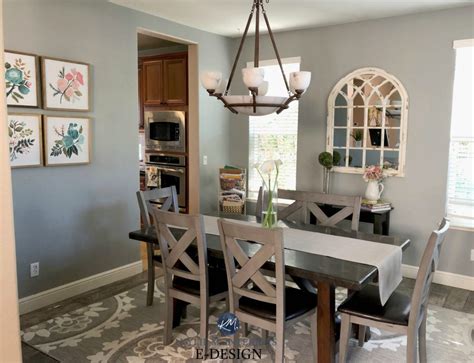 Sherwin Williams Ellie Gray Best Gray Paint Colour With Undertones In