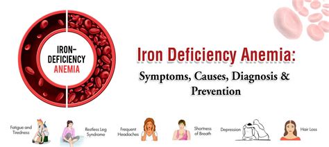 Stages Of Iron Deficiency Anemia