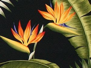 Tropical Print Bedding, Comforters