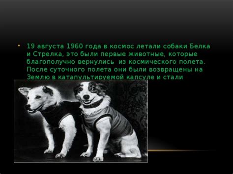 До конца года остаётся 134 дня. Поехали Презентация ко дню космонавтики