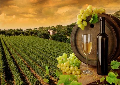 In wine, constellation simply doesn't want to be on the bottom shelf anymore. Delay in E&J Gallo Acquisition of Constellation Brands