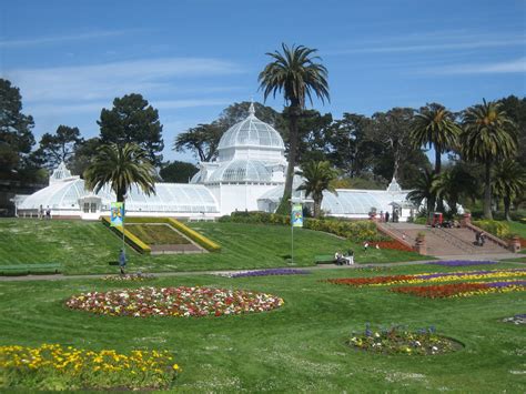 Sure it has a few big ones, but what song of it's era didn't? Conservatory-of-Flowers (With images) | Flowers san ...
