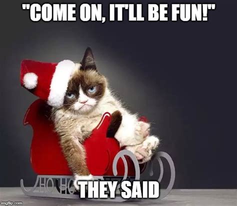 Christmas Grumpy Cat Imgflip