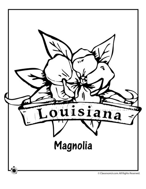 Louisiana State Flower Coloring Page Woo Jr Kids