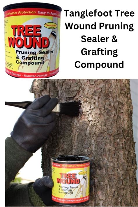 Tanglefoot Tree Wound Pruning Sealer And Grafting Compound In 2022
