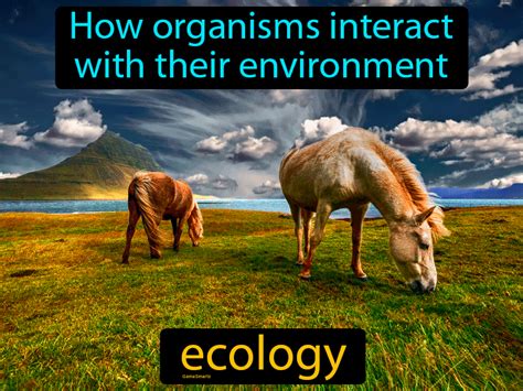 Ecology Definition And Image Gamesmartz