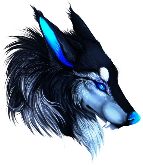 C Saphir By Snow Body Wolf Art Werewolf Art Wolf Artwork