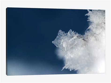 Ice Crystal Art Print By Andreas Stridsberg Icanvas