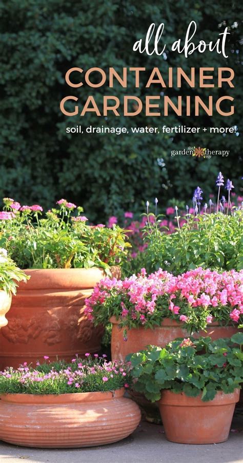 The Secrets To Successful Container Gardening Container Garden Design