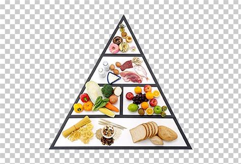 Top Food Pyramid Cartoon Tariquerahman Net