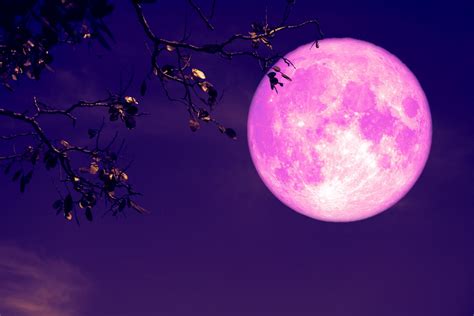 Hotel luna rosa is home to 8 bedrooms. Stasera la luna diventa di fragola (e ci regala una ...