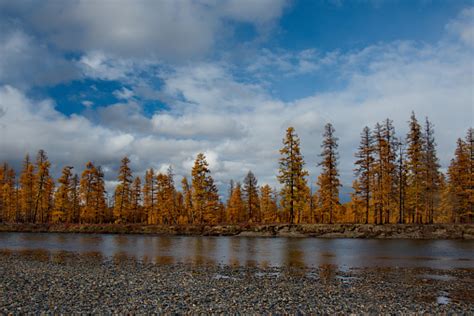 Tributaries Of The Kolyma River Stock Photo Download Image Now