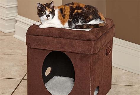 10 Best Elevated Cat Beds In 2023 Reviews And Top Picks Pet Keen