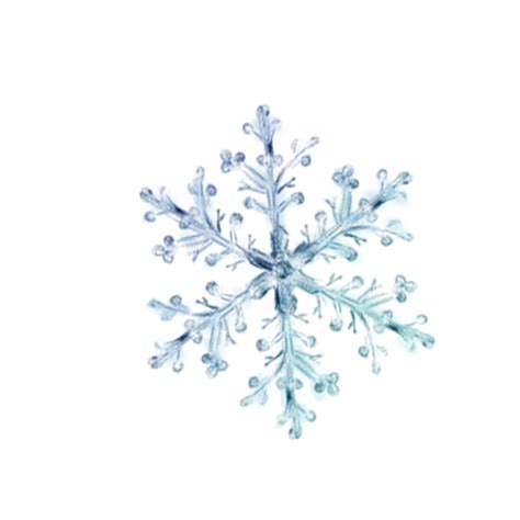 Snowflake Crystal Snowflake Png Download 800800 Free Transparent
