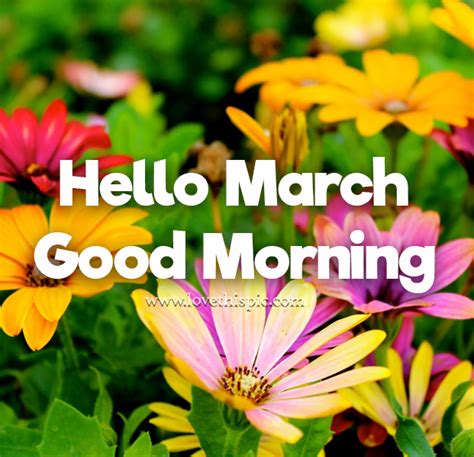 Assorted Flower Hello March Quote Pictures Photos And Images For