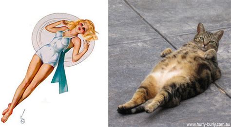 Cats That Think They Are Pinup Girls Meowingtons