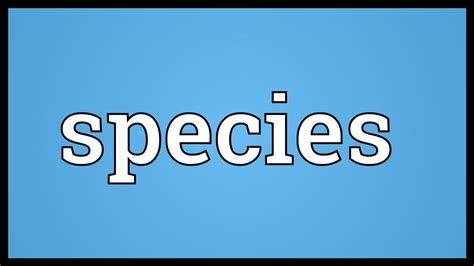 Species Meaning - YouTube