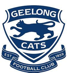 Geelong has already made five. 1000+ images about Geelong Cats AFL on Pinterest | Photo ...
