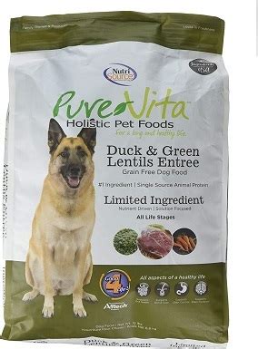 Best Dog Food for IBD 2020 - Reviews & Top Picks | Doggie Designer