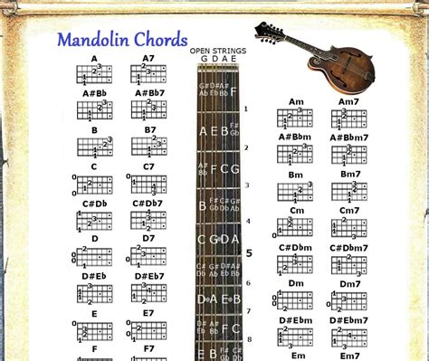 Mandolin Chords Chart Etsy
