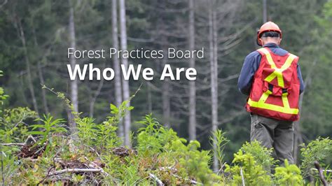Bc Forest Practices Board Who We Are Youtube