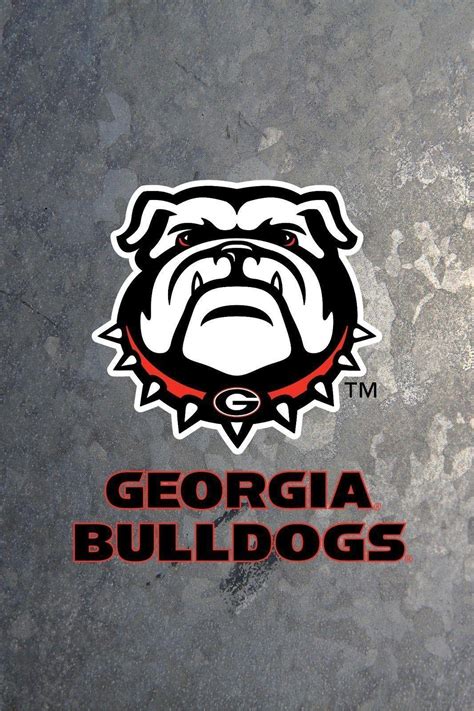10 Latest Georgia Bulldogs Football Wallpaper Full Hd 1920