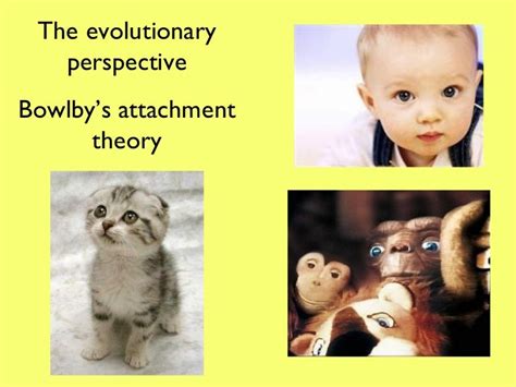 Evolutionary Perspective