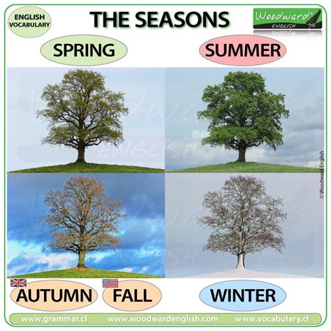 Seasons Vocabulary In English Woodward English Estaciones Del Año