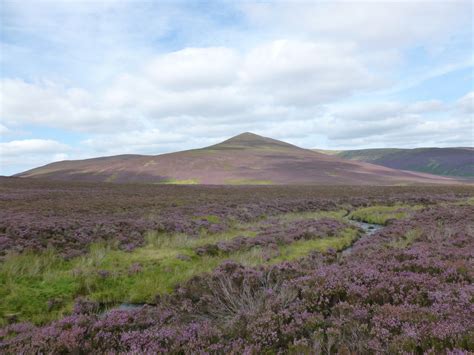 Heather Moorland By Salehow Beck © Alan Odowd Geograph Britain And