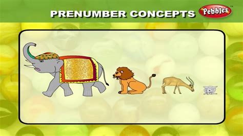 Maths For Class 1 Pre Number Concepts Learn Maths For Children