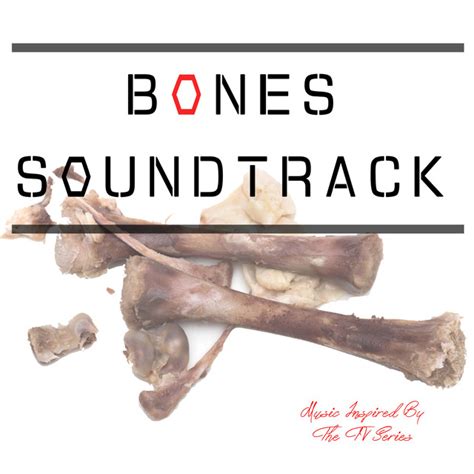 Bones Soundtrack Music Inspired By The Tv Series By Various Artists