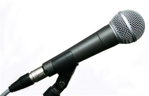 How Do I Choose The Best Flute Microphone With Picture