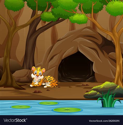 Tiger Cartoon In Front Cave Royalty Free Vector Image