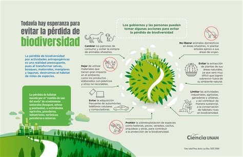 InfografÍa Detener La Pérdida De Biodiversidad Ciencia Unam Hot Sex