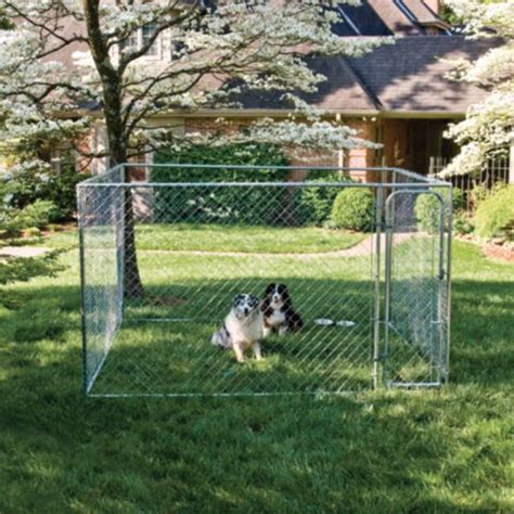 It seems that every wireless fence has these kinds of problems. PetSafe Do-it-Yourself Dog Kennel, 10 ft. W x 10 ft. L x 6 ft. H - Tractor Supply Online Store ...