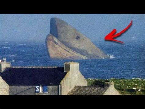 5 Real Pieces of Evidence The Megalodon Shark is Still Alive! - YouTube