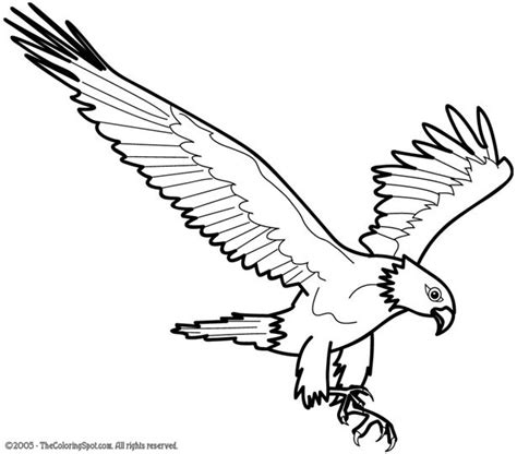 Select the eagle coloring pages you like and then print them in a4 format. Eagle Coloring Page 1 | Audio Stories for Kids | Free ...