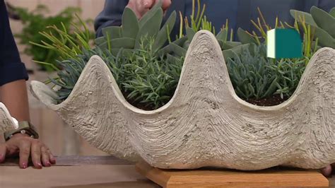 Martha Stewart Indooroutdoor Seashell Planter On Qvc Cement Crafts Diy Crafts Arts And Crafts