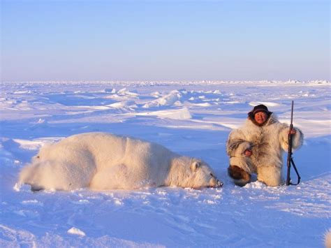 Polar Bear And Jose Tinashlu Photo Photo Inuit Alaskan