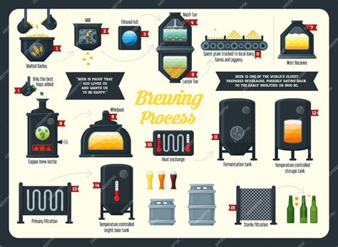 Premium Vector Beer Brewing Process Infographic Flat Style