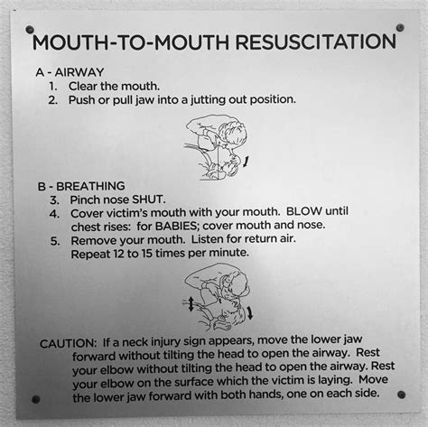Mouth To Mouth Resuscitation Cpr Body Health Mouth Positivity