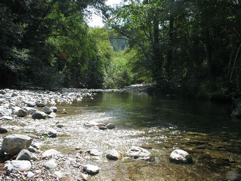 Sharing the best photos of big sur. Big Sur River - Wikipedia