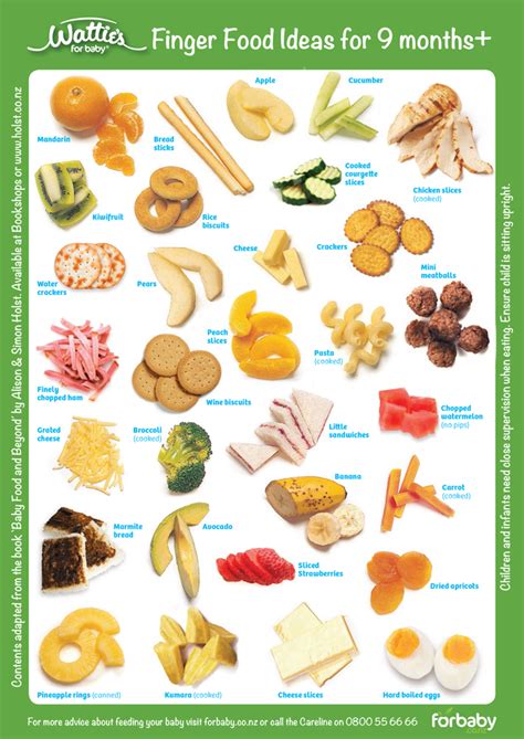 Finger Food Ideas for 9 months plus Homemade Baby Foods, Homemade