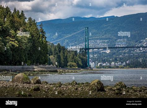 A View Of The Lions Gate Bridge In Vancouver Crossing The Burrard Inlet