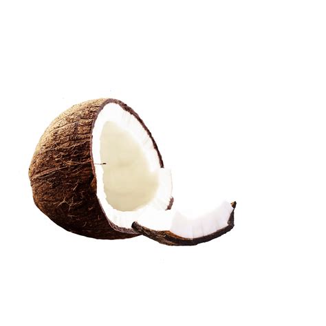 Coconut Isolated Free Stock Photo Public Domain Pictures