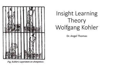 Insight Learning Theory Kohler Youtube