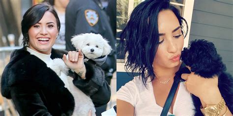 Demi Lovato Remembers Dog Buddy In Touching Instagram Tribute